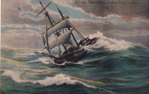 Carte postale postcard - 🦬carte, /