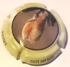 Capsule de champagne Epernay