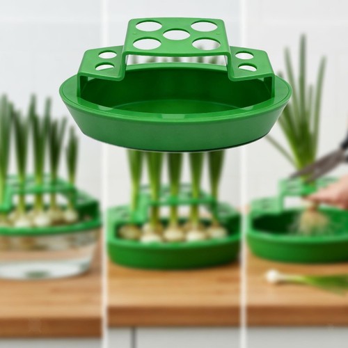 Pot culture hydroponique - culture,