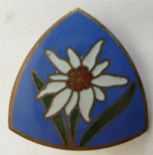 WW2-METAL lourd émail CJF 10