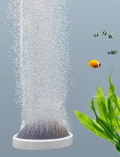 Aquarium Pierre a Air