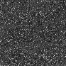 Morceau de croûte de cuir de