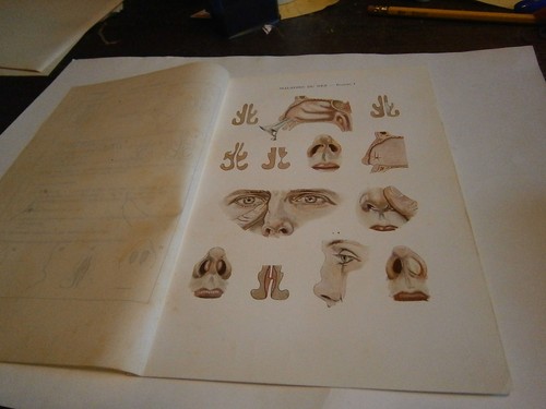 Planche gravure science corps - science,