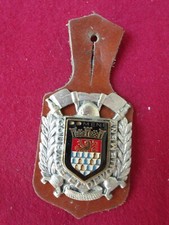 insigne de pompiers ,pucelle