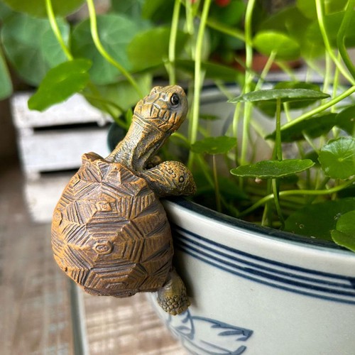 Tortoise plante pot borner - tortoise,