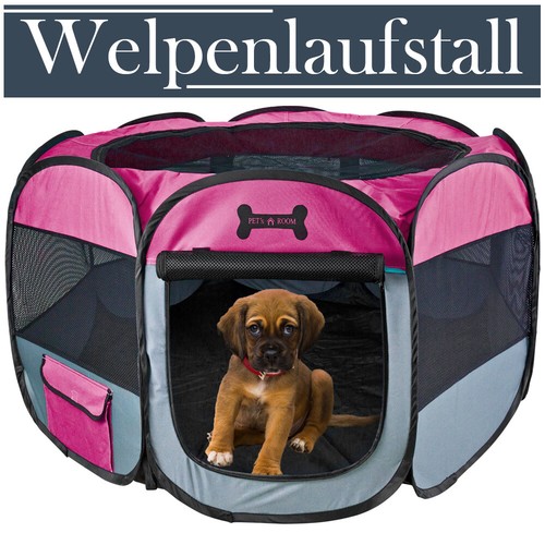 Rose parc chien chat lapin - chien,