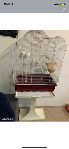 Cage pour oiseaux - pour,