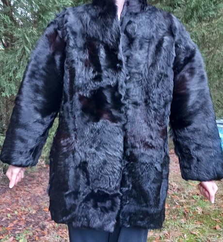 Très belle veste poulain - veste,