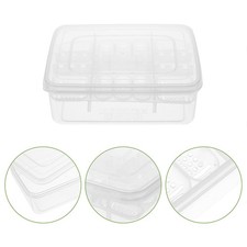  Plastic Reptile Egg