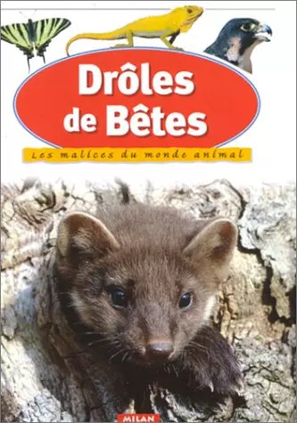 Drôles bêtes les - bêtes,