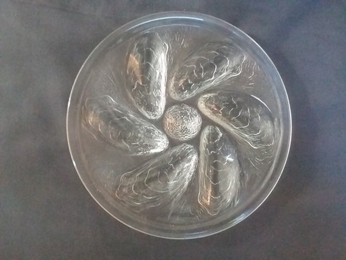 Assiettes huîtres en - 6, d’huîtres