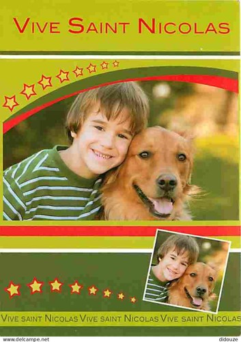 Carte postale animaux - animaux,