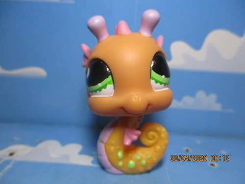 Petshop hippocampe 1132 - petshop, n°1132