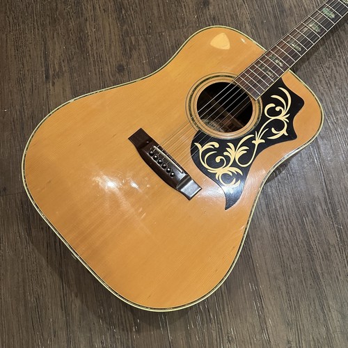 Guitare acoustique vintage