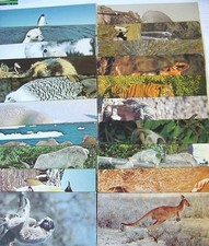 20 cartes de collection