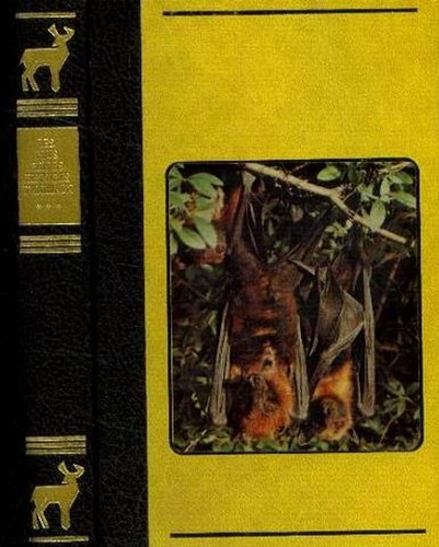 Histoires animaux tome - histoires, d'animaux
