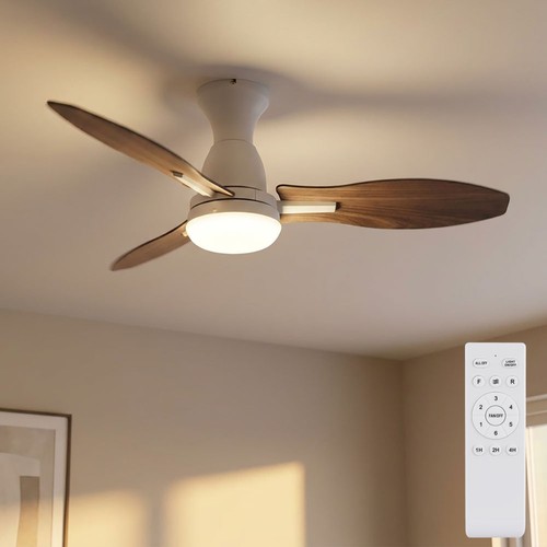 Ventilateur plafond - ventilateur, de