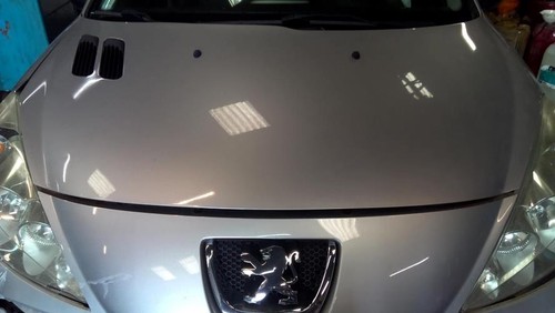 Capot peugeot 206 - capot, 7901r5