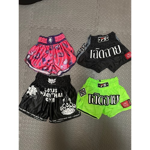 Muay thai kickboxing shorts - muay,