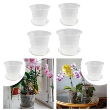 Orchidée Pot de Fleurs