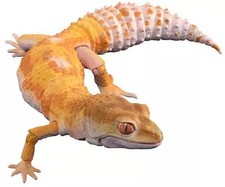 Figurine Creature Encyclopedia