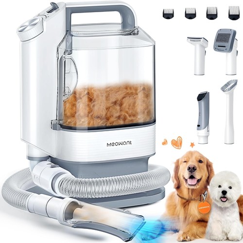 Meowant professionnelle - meowant,