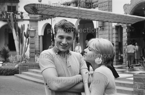 Sylvie vartan exclusive - vartan,