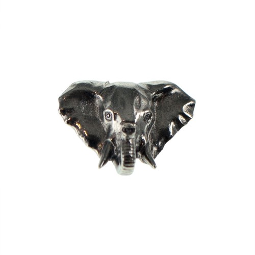 Africain éléphant tête - africain,