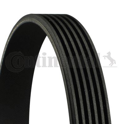 Courroie accessoire kia - courroie,