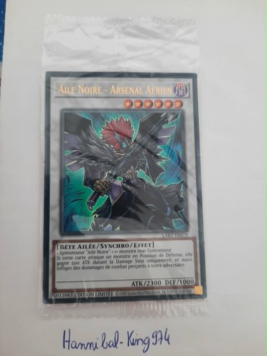 Aile noire arsenal - -,