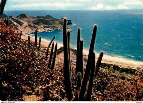 Carte postale guadeloupe - -,