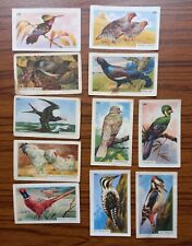 Entremets FRANCORUSSE - HISTOIRE NATURELLE album n° 2  choix d'images / chromos