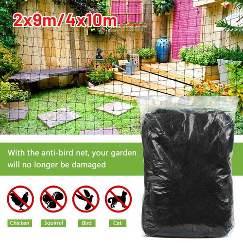 Jardin anti oiseau - jardin, anti-oiseau