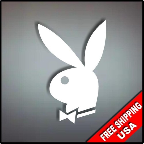 Playboy bunny vinyl - 5", x