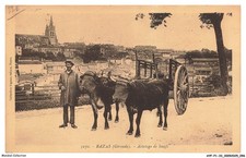 AYFP1-0049-33 - BAZAS -