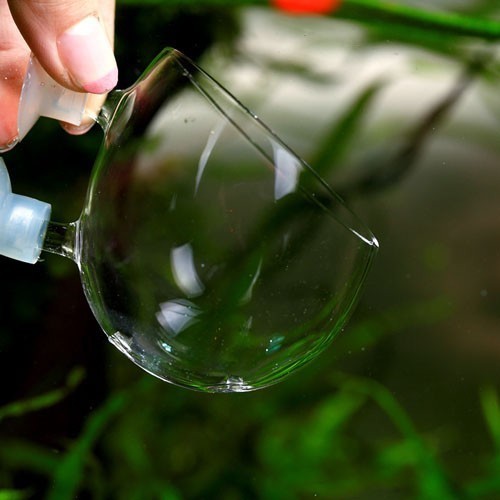 Plante aquatique cristal verre - plante,