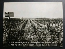 Photo Libération Le Déminage de La France WW2 