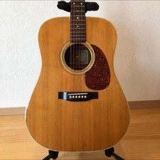 Guitare électrique acoustique
