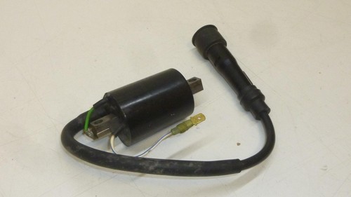 Ngk 3828 010313 - 010313, bobine