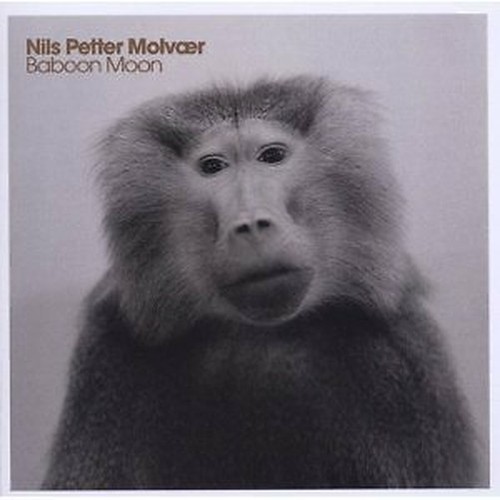 Nils petter molvaer - petter, baboon