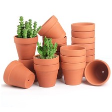 20 Pcs Pots de Fleurs en Terre