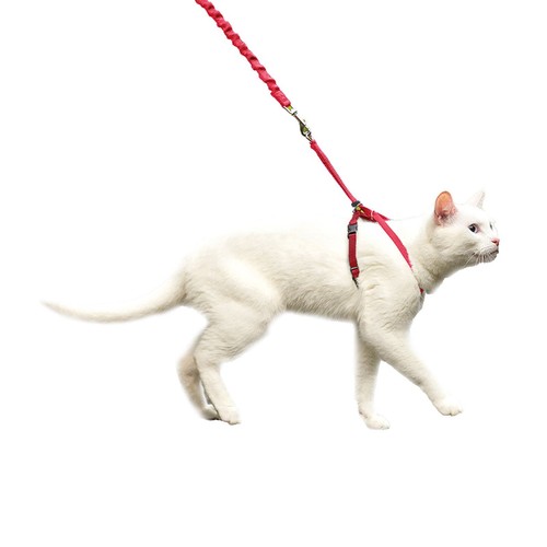Harnais chat easy - easy, walk