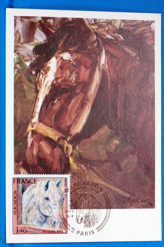 Cheval percheron fernand - percheron,