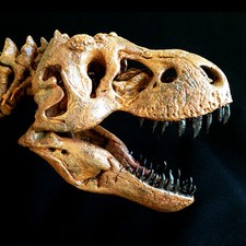 Réplique Complète De