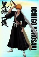 BLEACH trading Cards PANINI