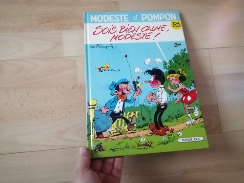 Modeste pompon 1 sois - pompon, r
