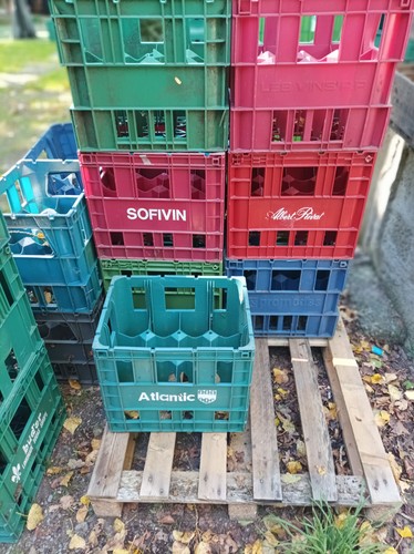 Lot casiers 12 - 10,