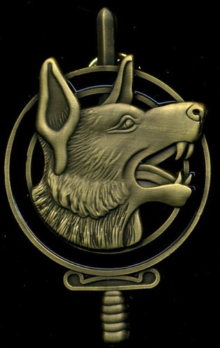 Brevet chien equipe - brevet, d'equipe