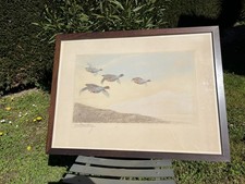 Gravure Léon Danchin Perdrix 
