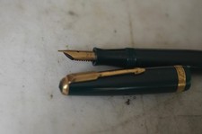 STYLO PLUME PARKER EN RESINE